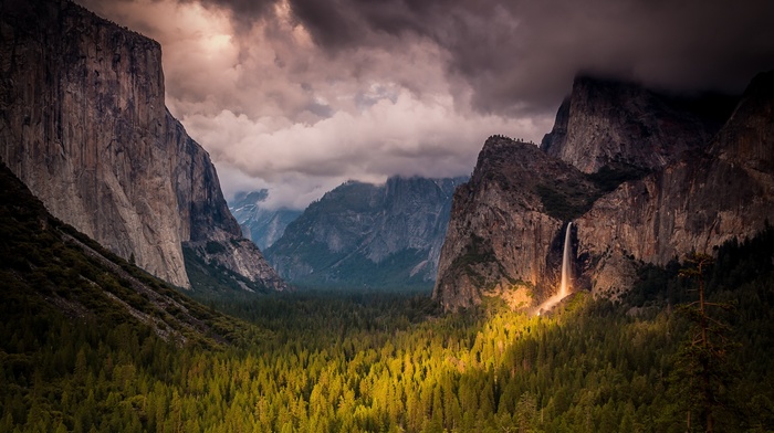 nature, photography
