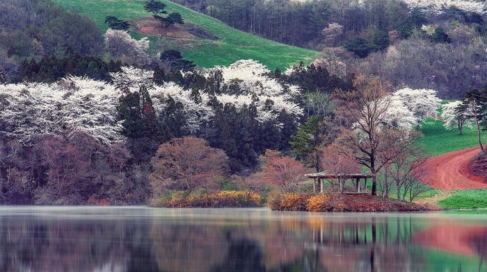 photography, nature