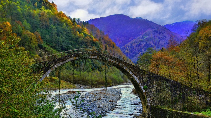 valley, photography, fall, mountains, moss, nature, bridge, stream, forest