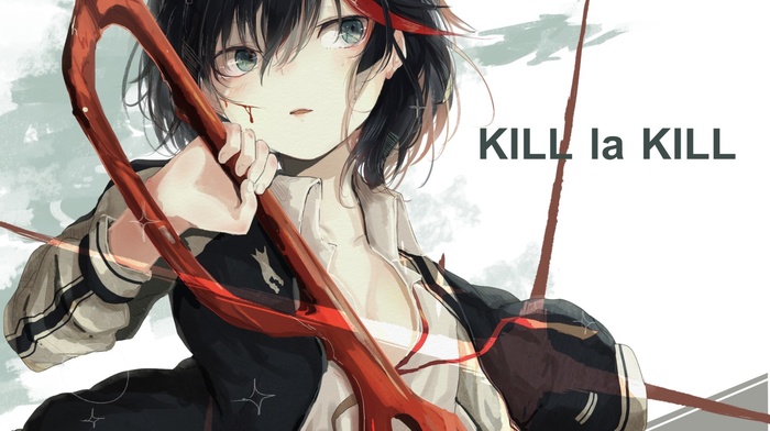 anime, anime girls, kill la kill, Matoi Ryuuko