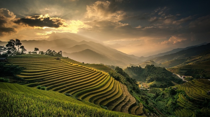 Indonesia, rice paddy, sky, field, mountains, mist, terraces, sunset, landscape, valley, Bali, clouds, nature