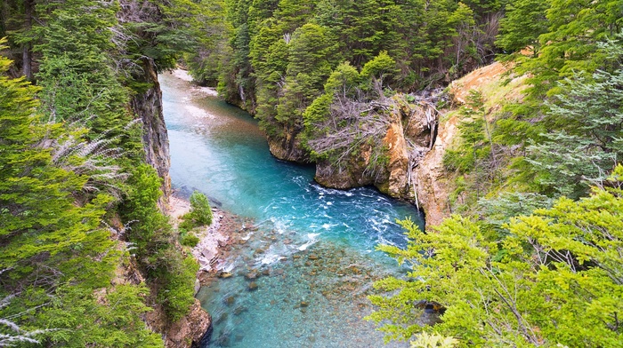 river, Patagonia, landscape, water, trees, Chile, turquoise, forest, nature, summer