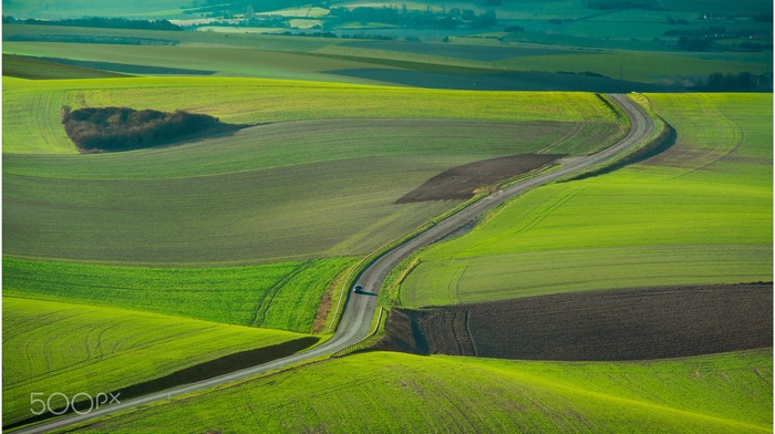 nature, photography