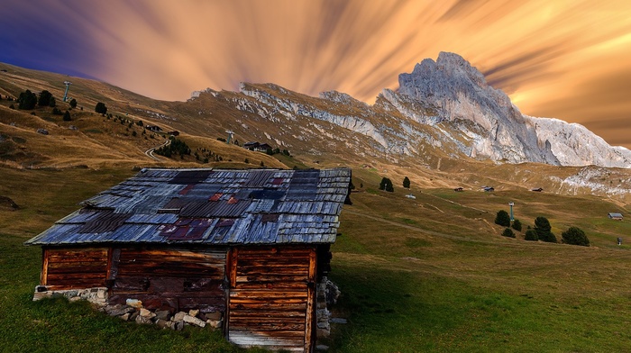 photography, nature