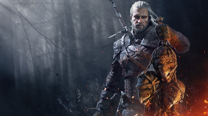 The Witcher 3 Wild Hunt, The Witcher, video games