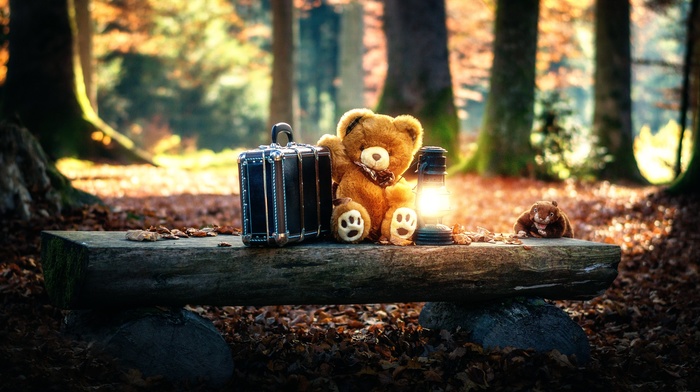 toys, trees, teddy bears