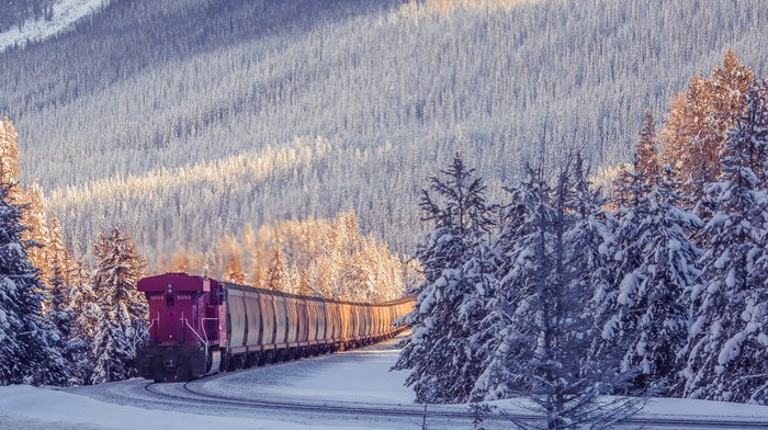 photography, train, winter, nature