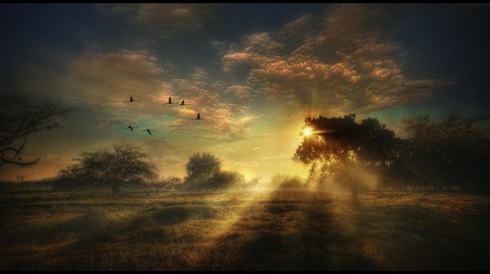 nature, landscape, photography