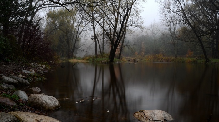 nature, photography