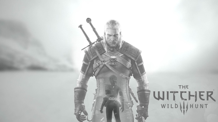 The Witcher 3 Wild Hunt