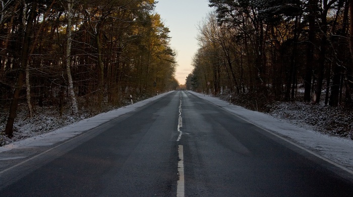 road, trees, nature, photography, landscape, plants, winter