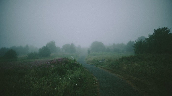 path, bench, mist, landscape