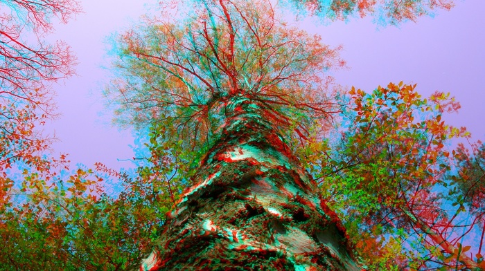 sky, 3D, trees