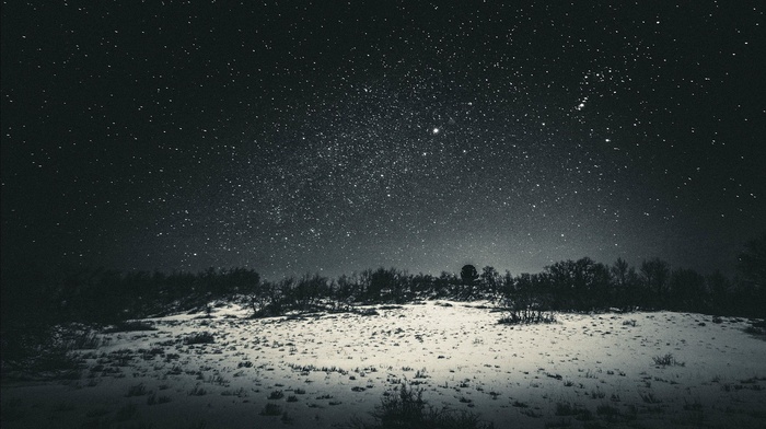 stars, night, landscape, dark, snow, sky, trees, black