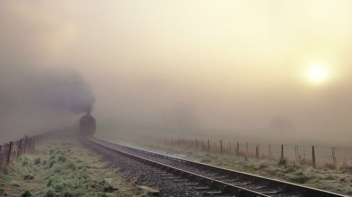 photography, nature, mist, train