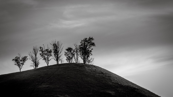 photography, nature