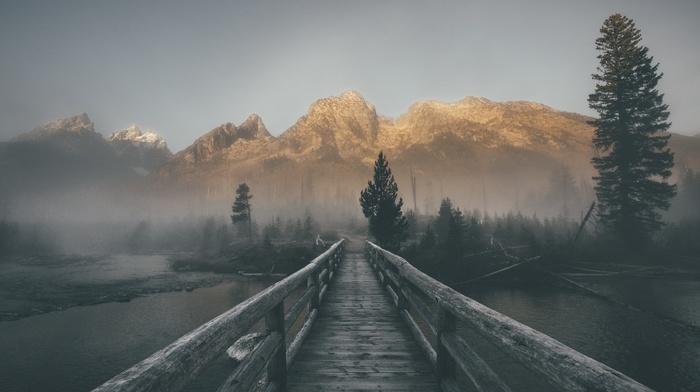 landscape, mist, forest, bridge, mountains