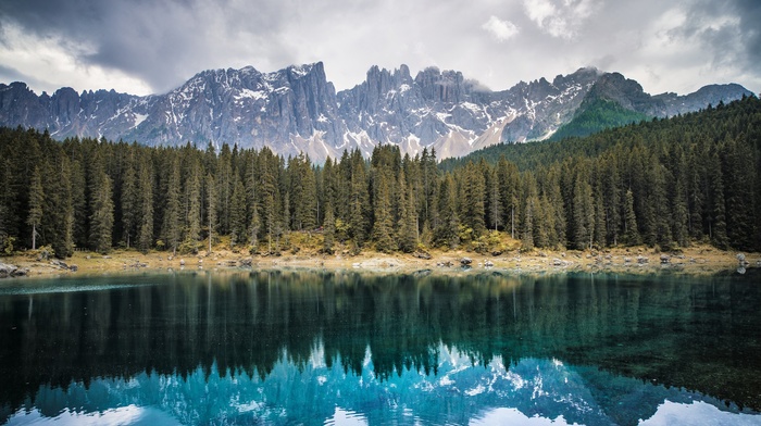 lake, reflection, pine trees, nature, landscape