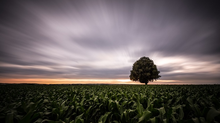 photography, nature