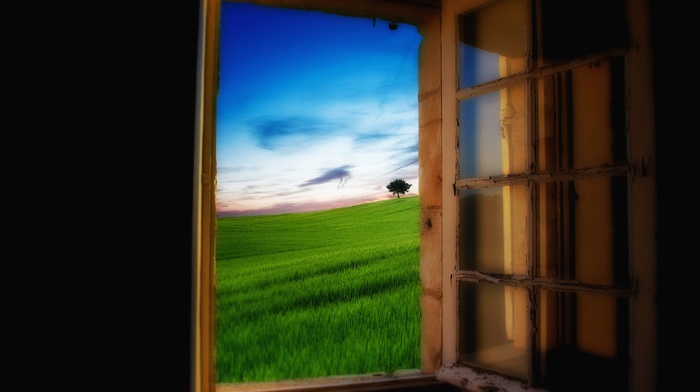 landscape, nature, photography