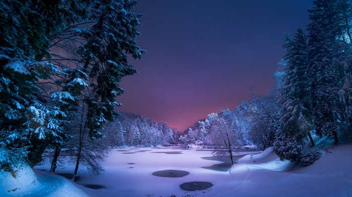 landscape, night, winter, snow, ice, nature, trees