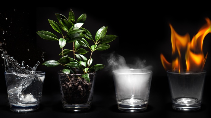 artwork, plants, air, four elements, water, Earth, fire