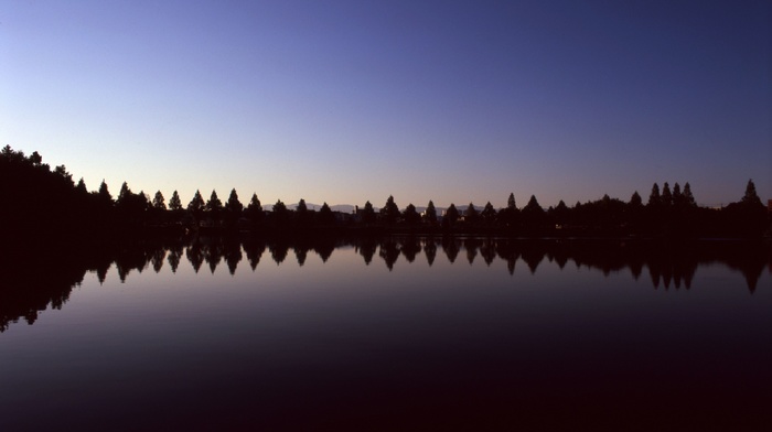 lake, reflection, water, nature, trees, landscape, photography