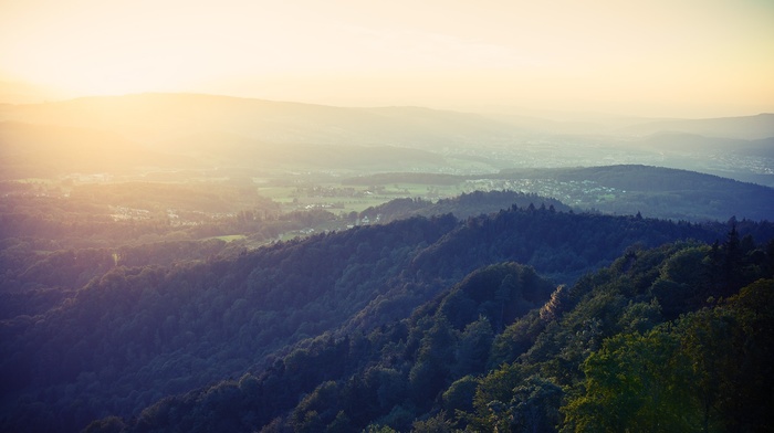 photography, nature, hills, trees, landscape