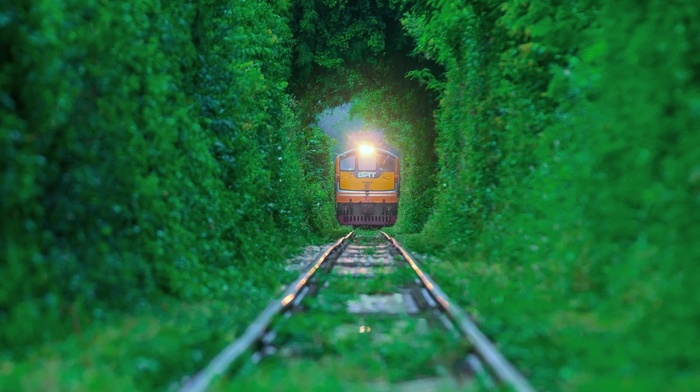 train, nature