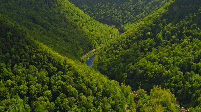 nature, landscape