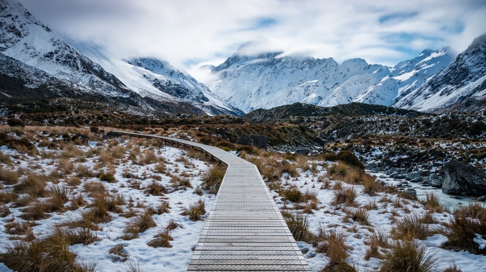 nature, New Zealand