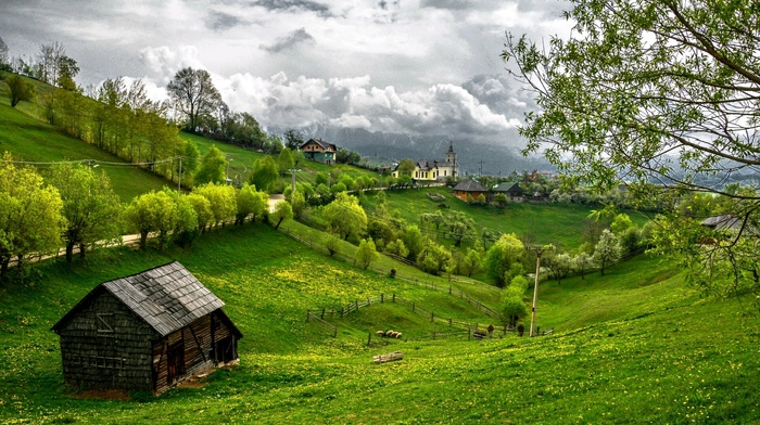 nature, landscape