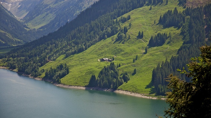 nature