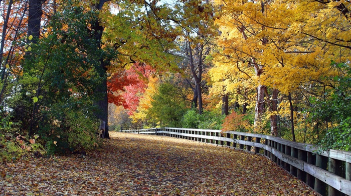 photography, nature