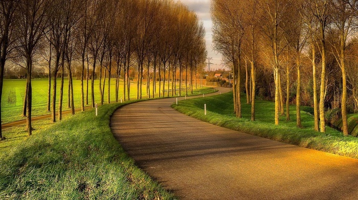 trees, road, landscape, HDR, nature