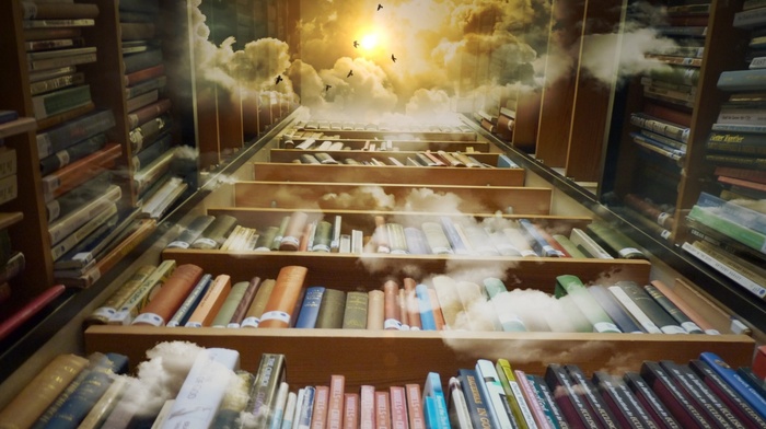 books, birds, worms eye view, photography, clouds, shelves