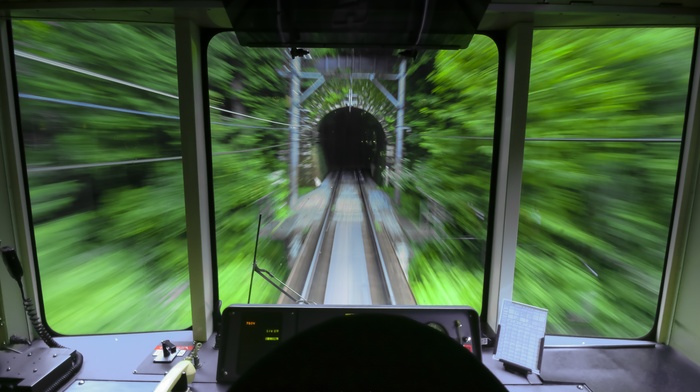 David Aguilera, train, trees, tunnel