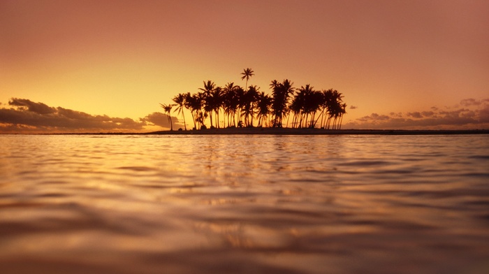 island, palm trees, sea, sunset, water, nature, landscape, photography