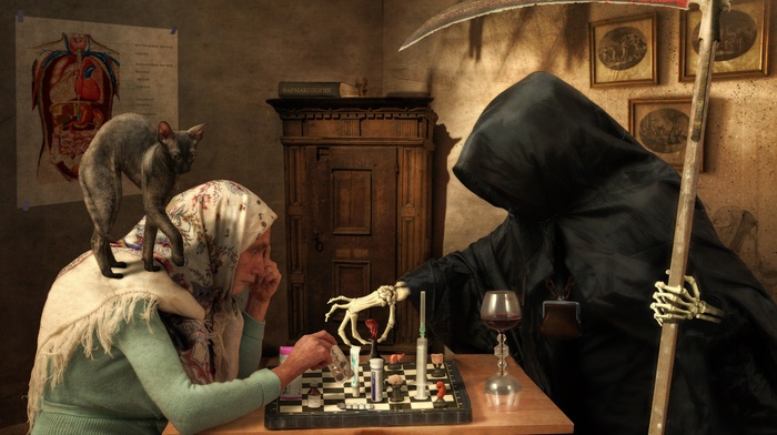 chess, old people, death, artwork, babushka, grim reaper, cat