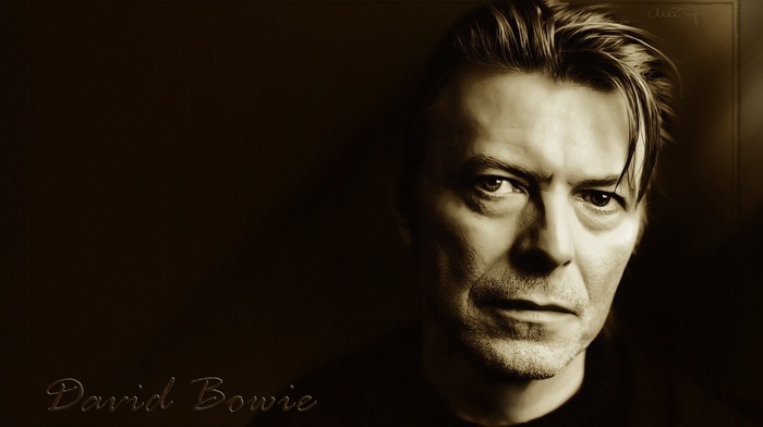 musician, david bowie, monochrome, looking at viewer