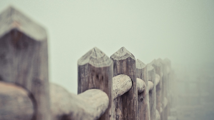 photography, nature, mist, fence, depth of field, wood