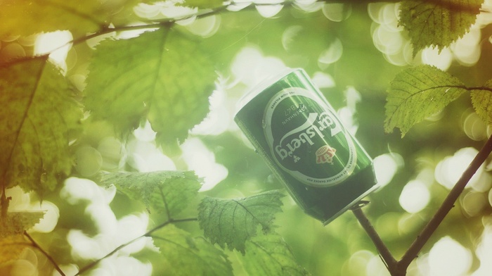 photography, leaves, can, plants, Carlsberg, branch, nature, beer