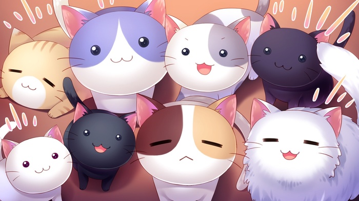 cat, visual novel, Nyan Cafe Macchiato