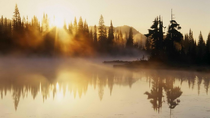 landscape, lake, trees