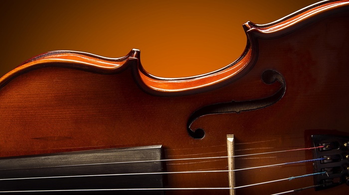 musical instrument, violin