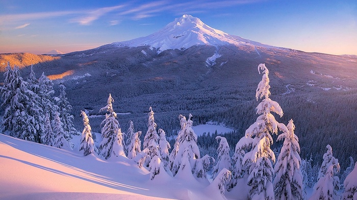 frost, snowy peak, mountains, lake, landscape, winter, pine trees, nature, snow, forest, Oregon, Mount Hood