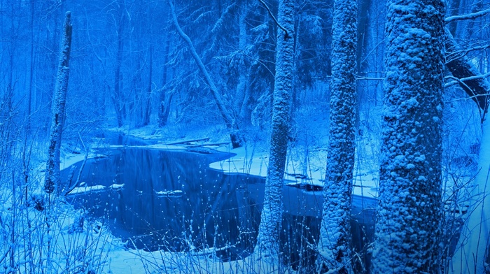 river, snow, landscape, frost, blue, cold, winter, trees, forest, nature, Poland