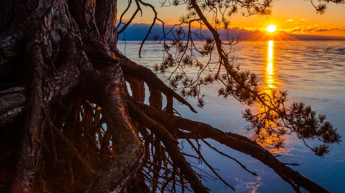 nature, Michigan, lake