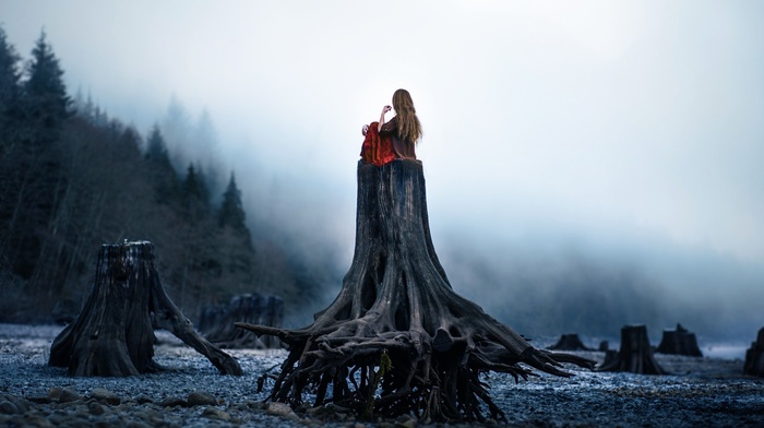 nature, tree stump, girl, girl outdoors, landscape, fantasy art, Lizzy Gadd