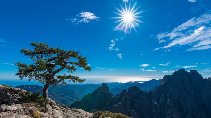 landscape, nature, France, Corsica, rock, trees, Sun